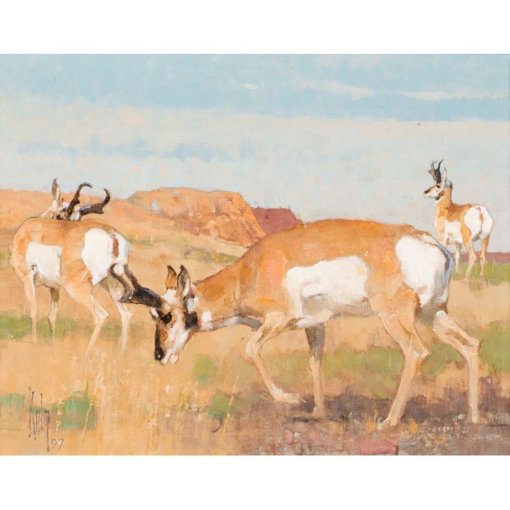 Bob Kuhn (1920-2007), Summer Range - Pronghorns