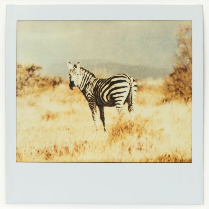 Haris Epaminonda Untitled # 39 2009