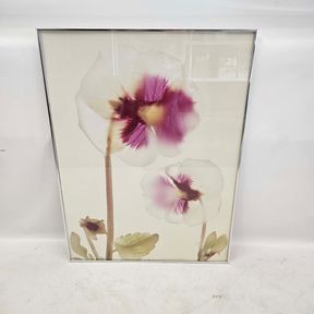 Large Orchid Watercolor Print - Framed and Signed