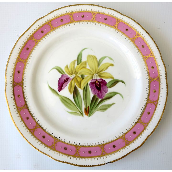 EARLY 20TH CENTURY ENGLISH PORCELAIN BOTANICAL PLATE
