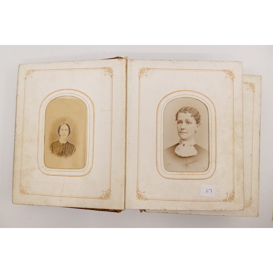 Antique CDV Album with Painted Landscape Edge