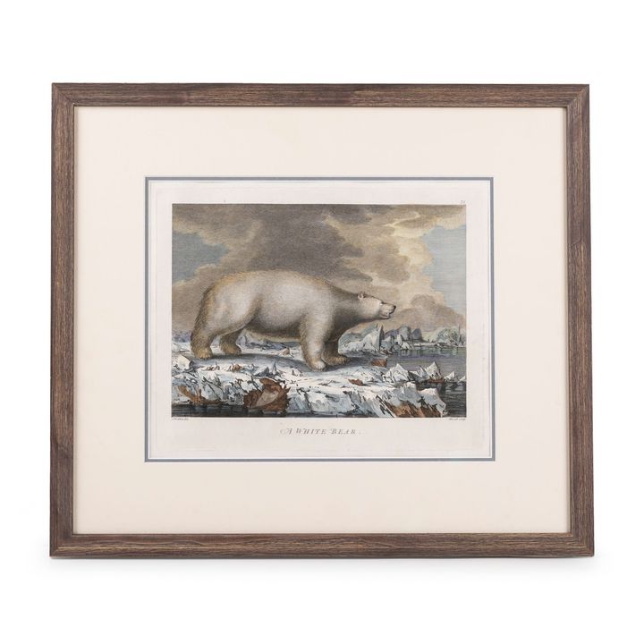 John Webber, A White Bear, C1784,