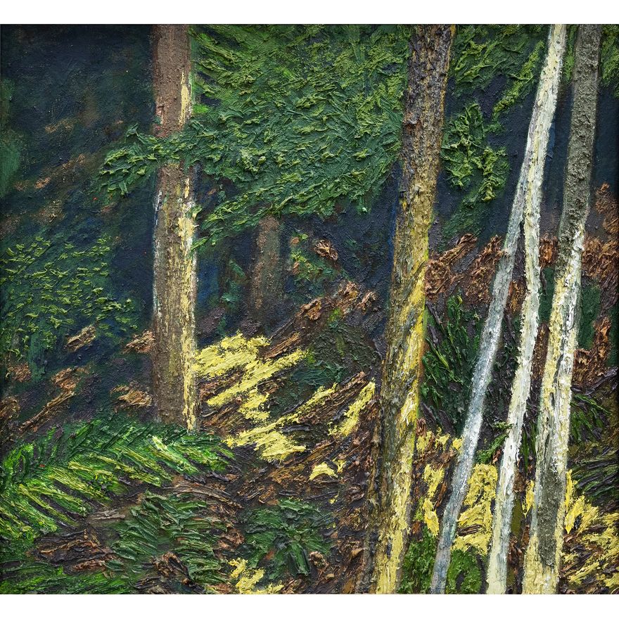 James Ross 'Bush Study - Light'