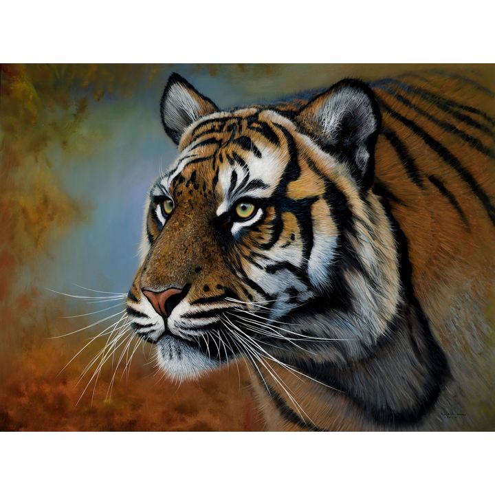 Pip McGarry (1955- ), Sumatran Tiger