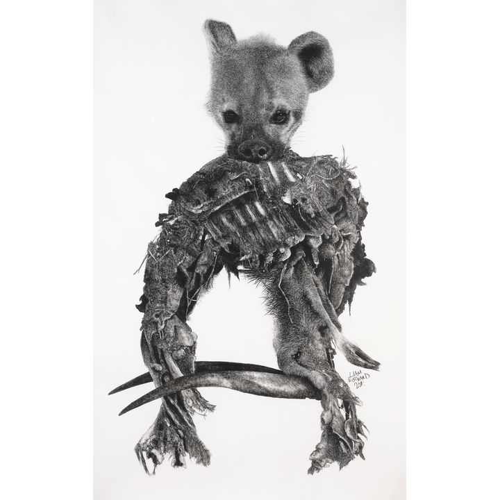 Liam Gerrard 'Hyena Carcass'