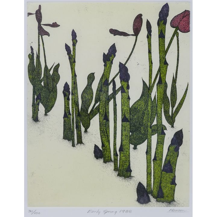 Art Hansen ''Early Spring'' (Asparagus) 1988 Etching