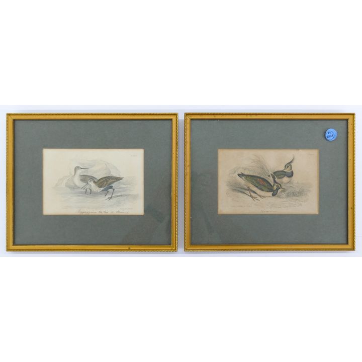 2pc Vintage Avian Colored Etchings