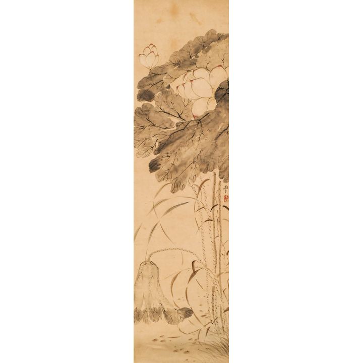 Attributed to Tang Yifeng Lotus Blossoms Scroll Painting