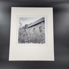 Judith Sabatini Signed Photograph Print - Sunflowers