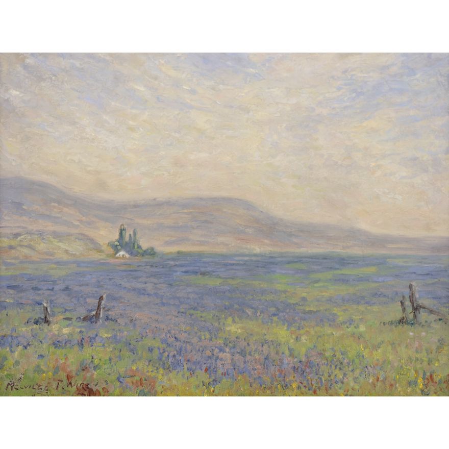 Melville Wire ''Flowering Field'' Oil