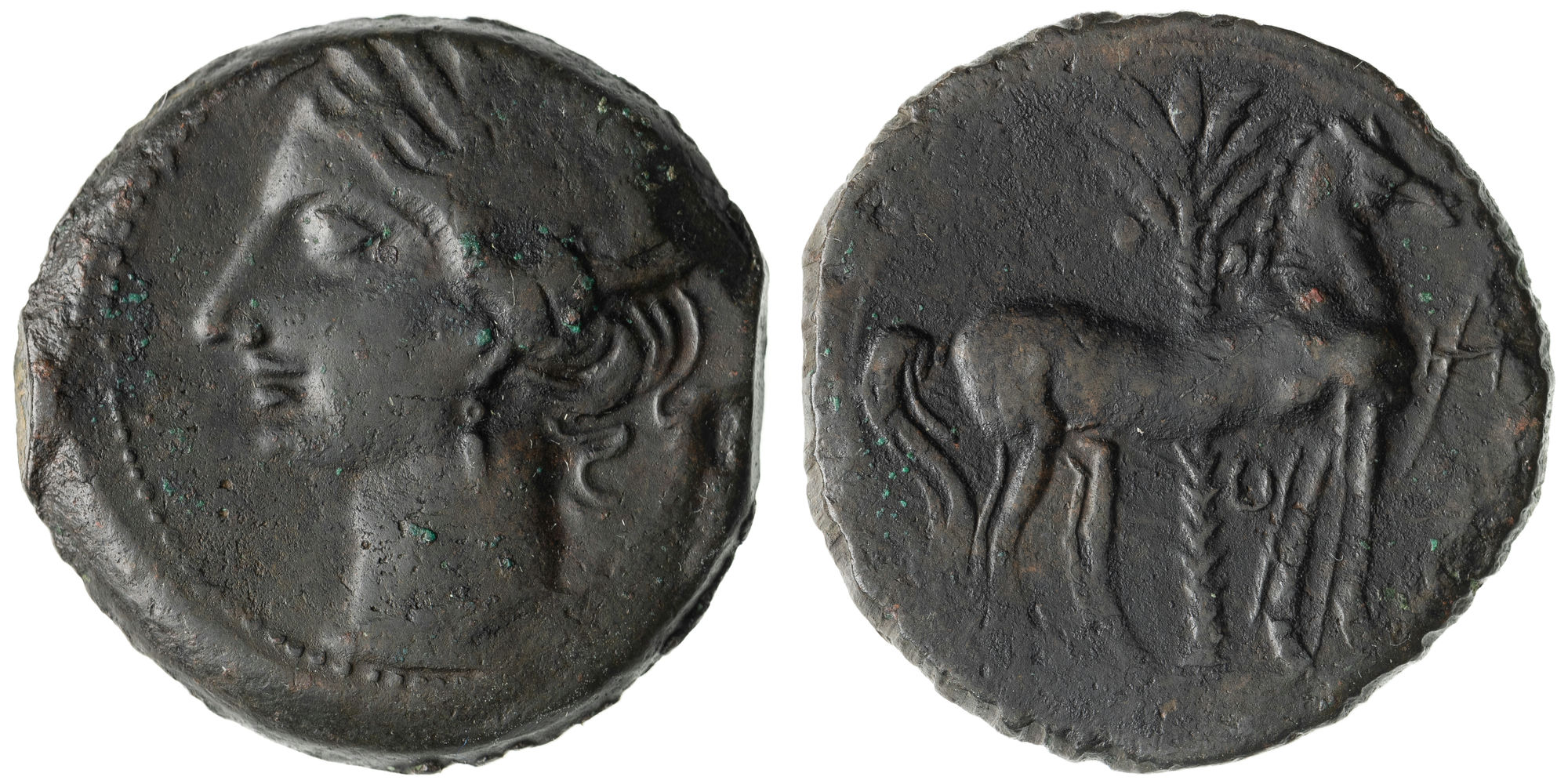 Carthage (Punic War), Ae22, 205 BC, VF