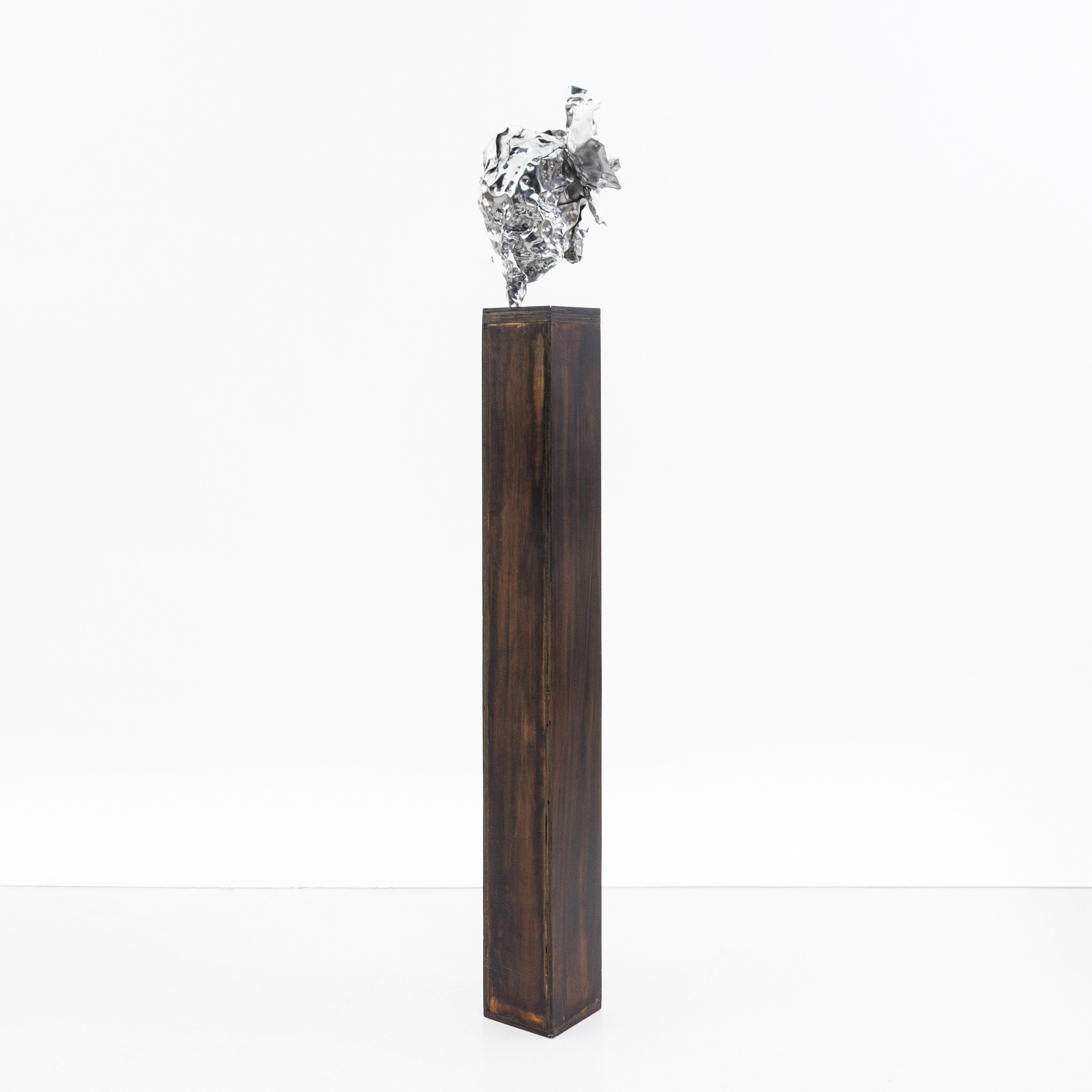 Peter rogiers (°1967) – kavel bij Bernaerts, Antwerp