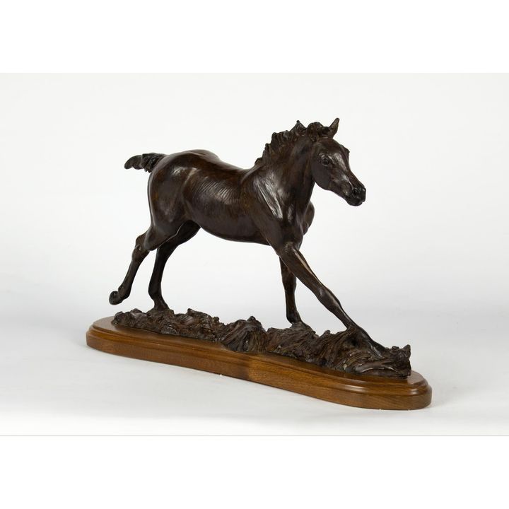 Veryl Goodnight (1947- ): Stormy, 2006