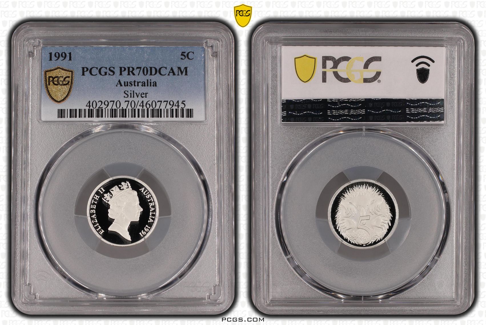 Elizabeth II, Silver, Five Cent, 1991, PCGS PR 70DCAM