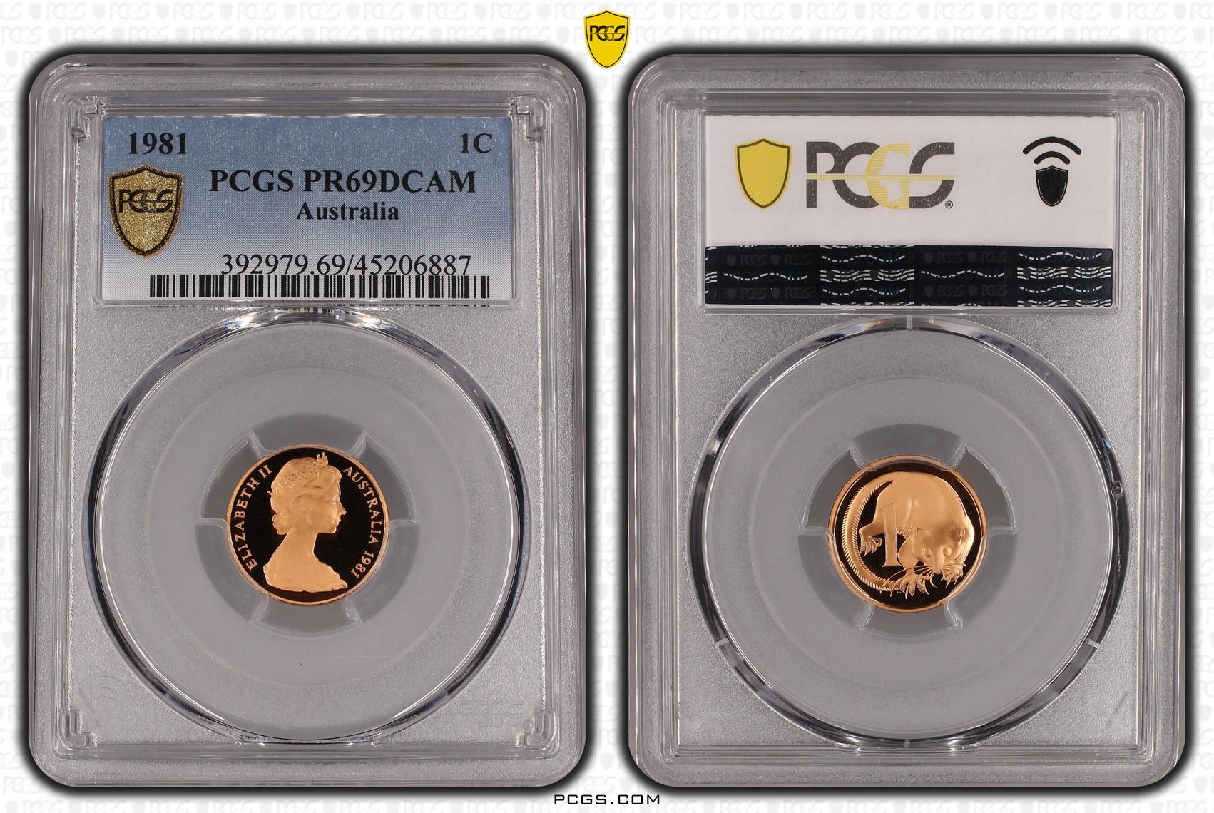 One Cent, 1981, Pcgs Pr69dcam