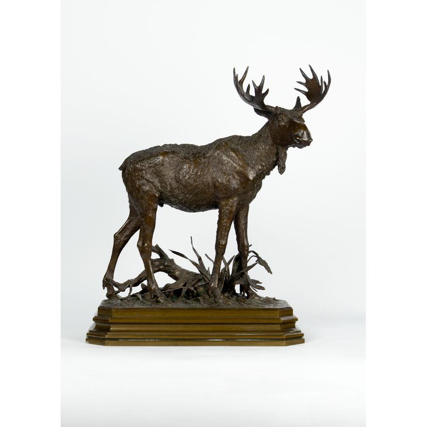 Rudolf Winder (1842-1920): Moose, 1899