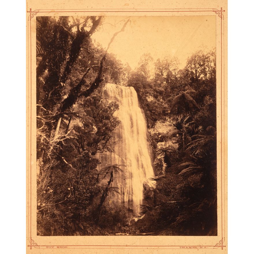 Foy Brothers, Thames 'Waterfall and Native Bush'