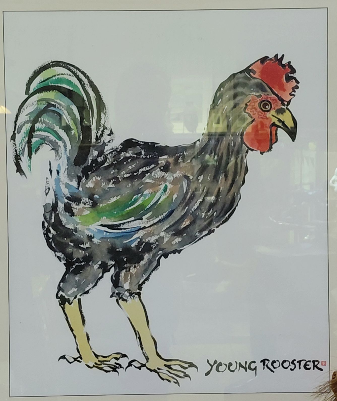 45 · YOUNG ROOSTER