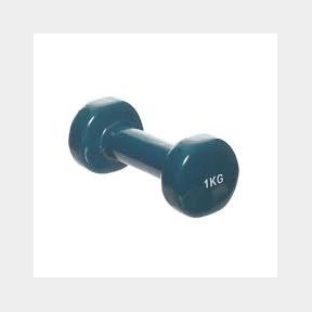 Getup Vinyl Dipped Dumbbell - 1kg - | TS 51695/4734 B2 (S2)