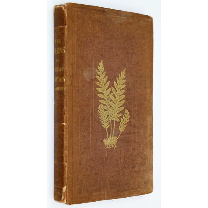 SOWERBY, JOHN E. [illustrator] - The Ferns of Great Britain