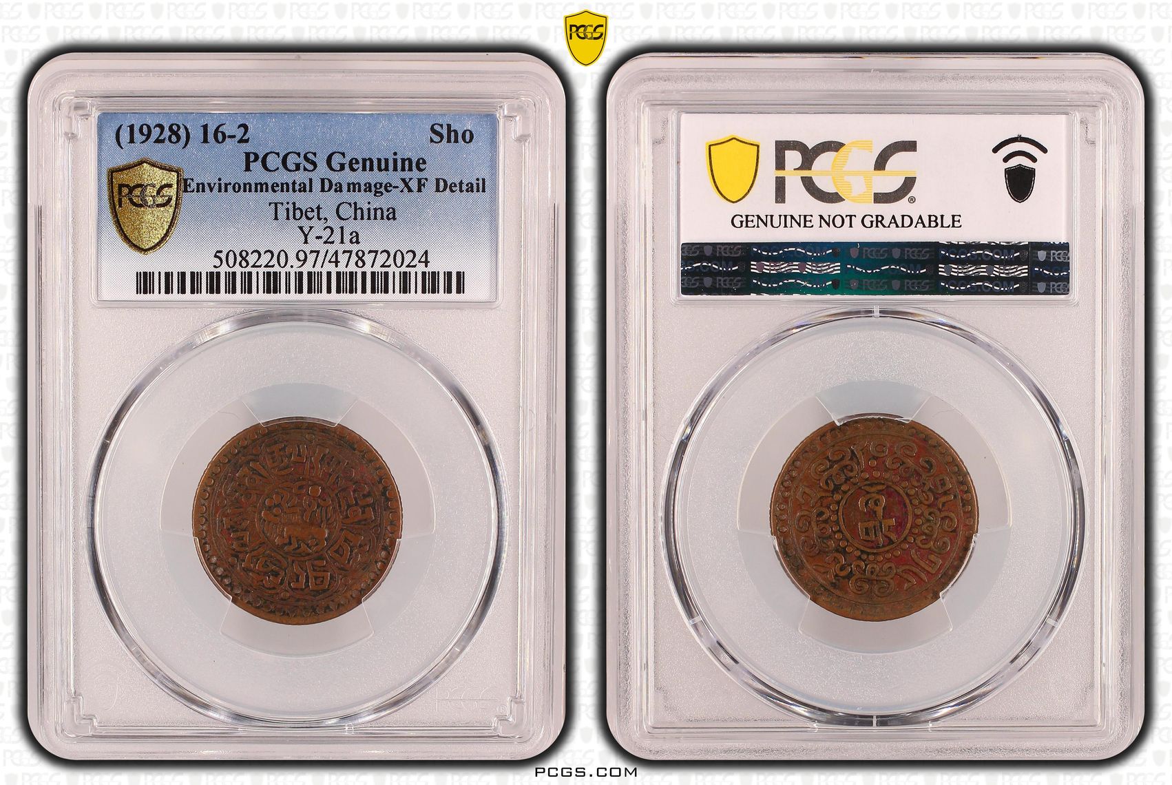 Tibet, China, Y-21a, Sho, 1928, PCGS Genuine - XF Details (97 - Environmental Damage)