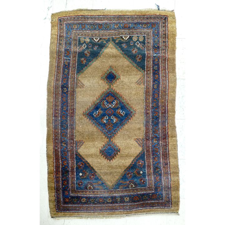 Hamadan Oriental Rug