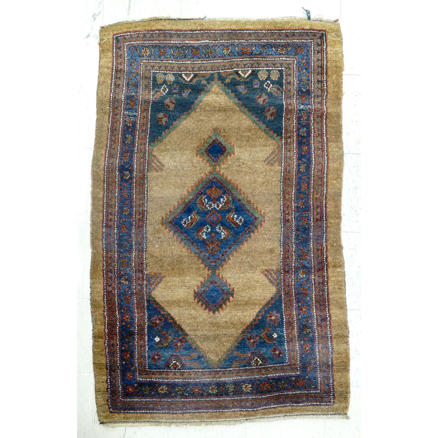 Hamadan Oriental Rug