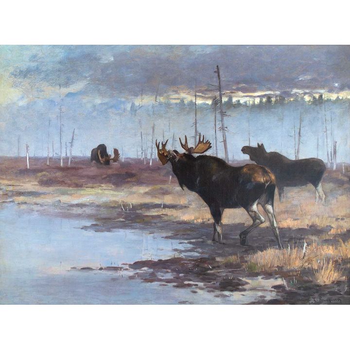 Carl Rungius (1869-1959), Challenge