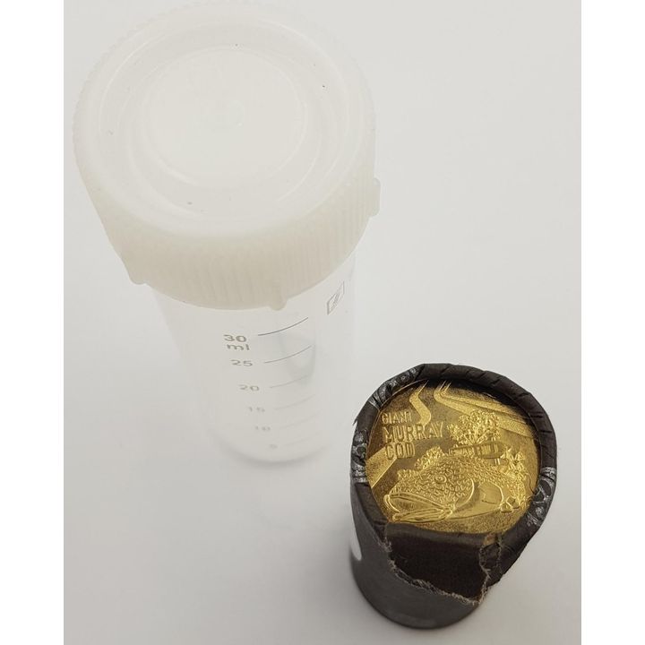 Giant Murray Cod $1 Coin C & C Roll