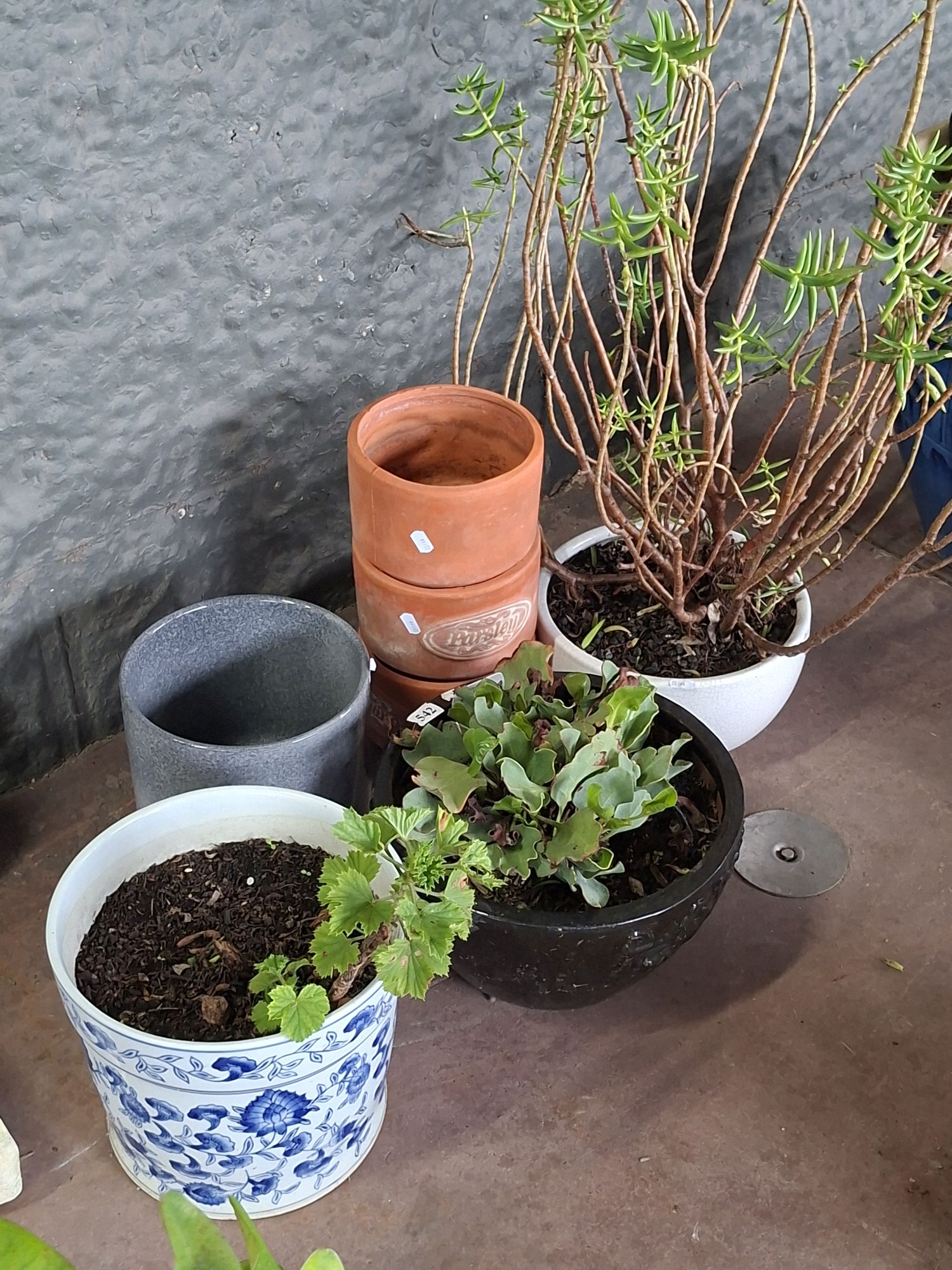 Group Of Pots
