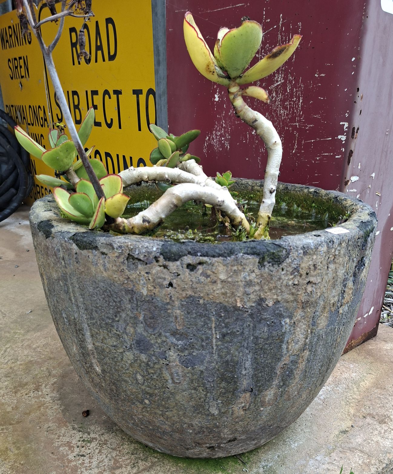 ANTIQUE FOUNDRY POT
