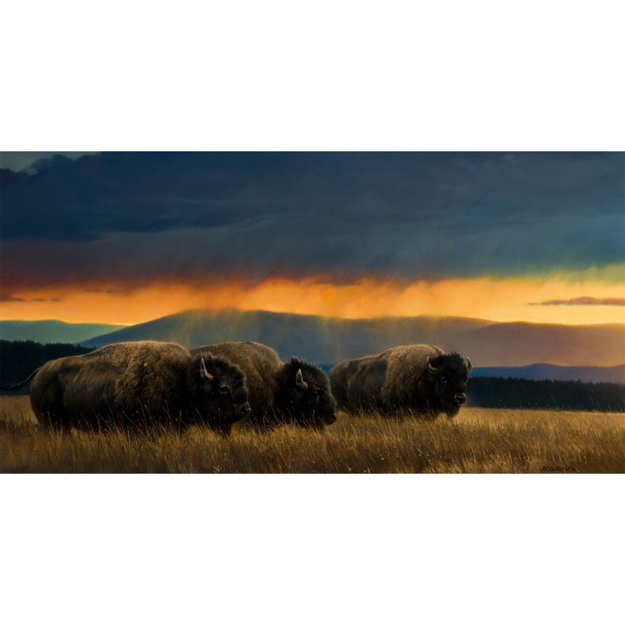 Nancy Glazier (1947- ), Montana Skies