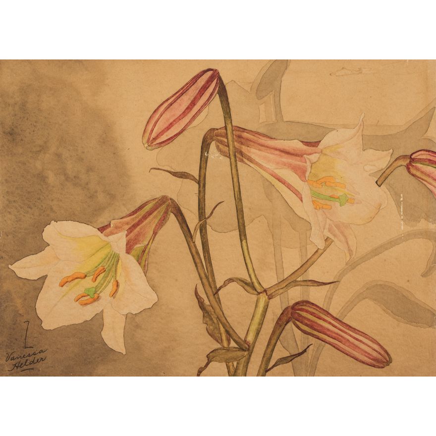 Zama Vanessa Helder ''Lilies'' Watercolor
