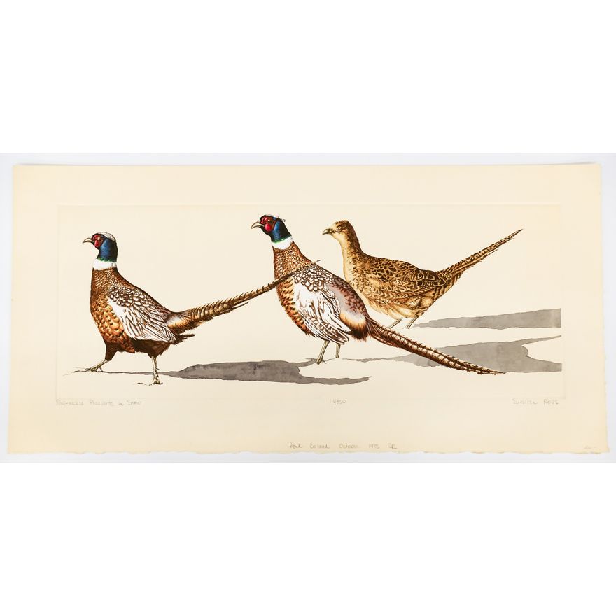Sue Ellen Ross ''Ring-Necked Pheasants in Snow'' S/N 1983 Hand Colored