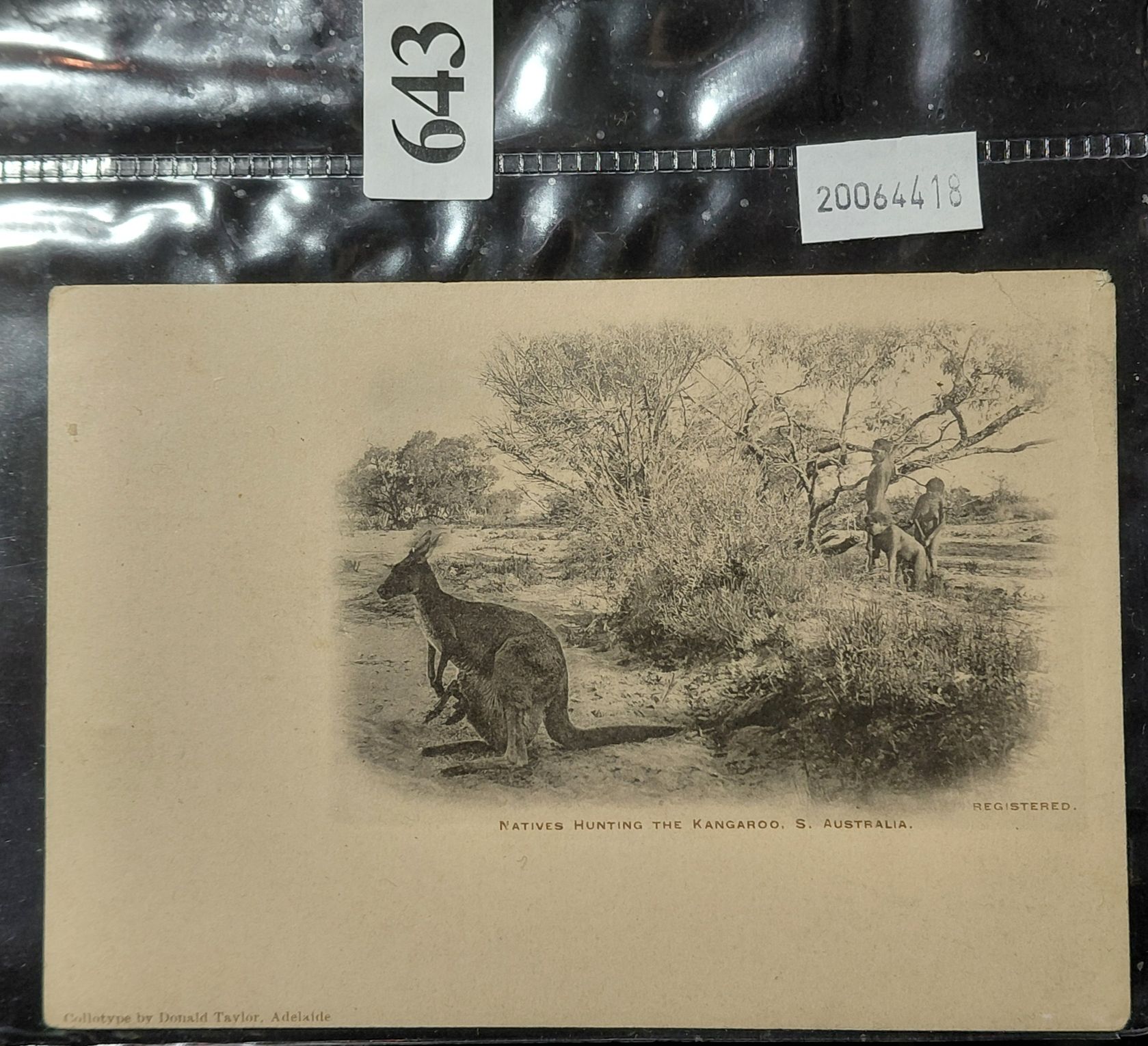643 · POST CARD - ABORIGINAL INTEREST