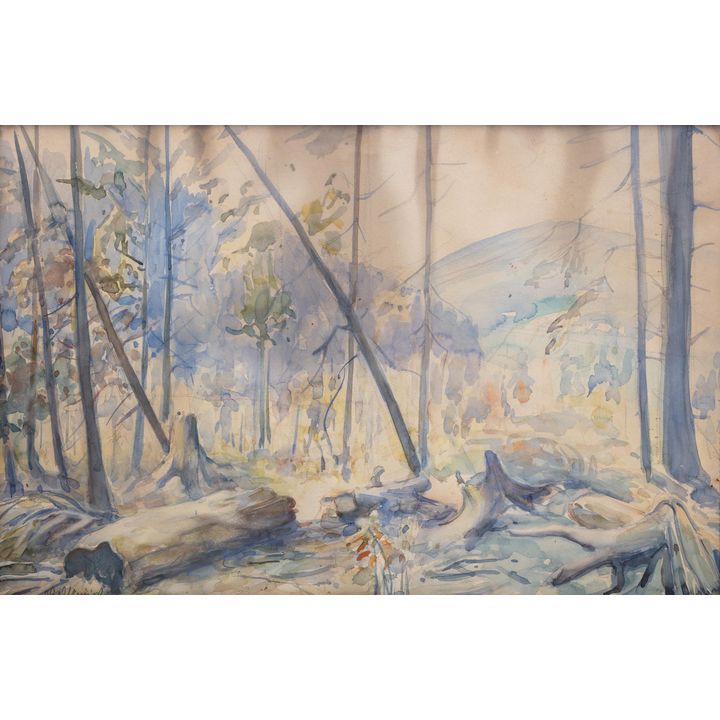 Jan Kazimierz Olpiński | Las