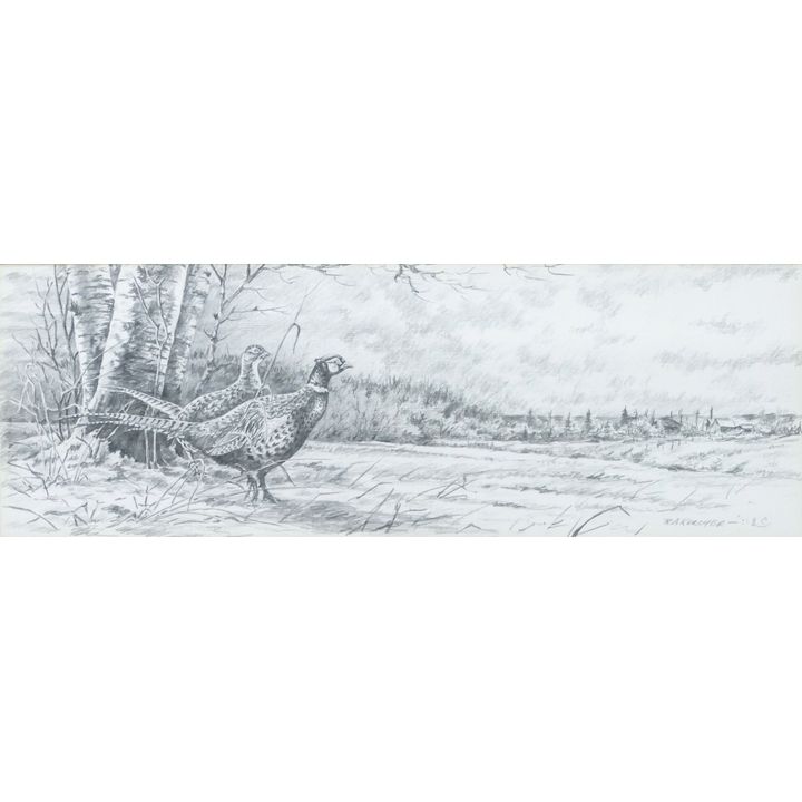 Bob Kercher ''Two Pheasants'' Signed Pencil on Paper Framed 12''x21''