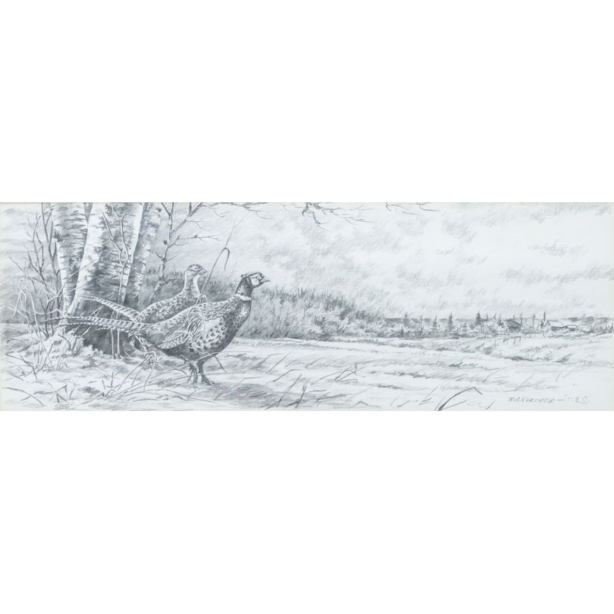 Bob Kercher ''Two Pheasants'' Signed Pencil on Paper Framed 12''x21''