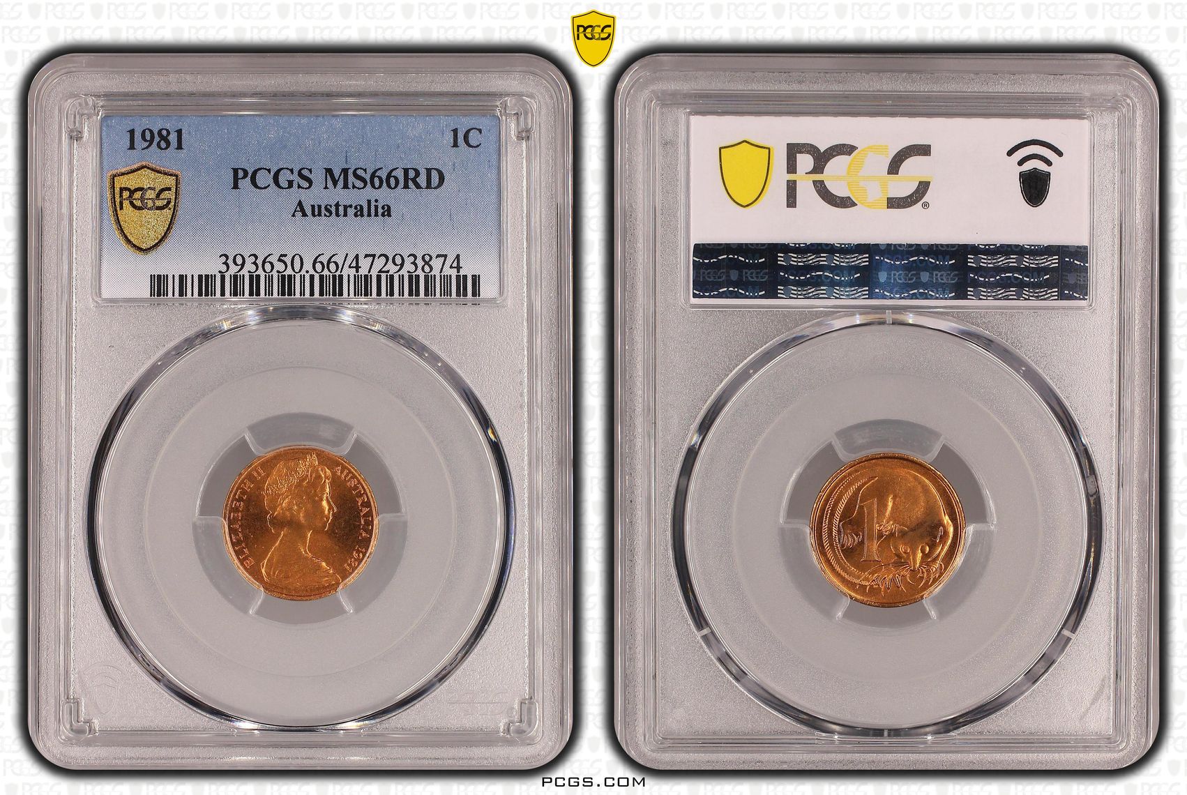 One Cent, 1981, PCGS MS 66RD