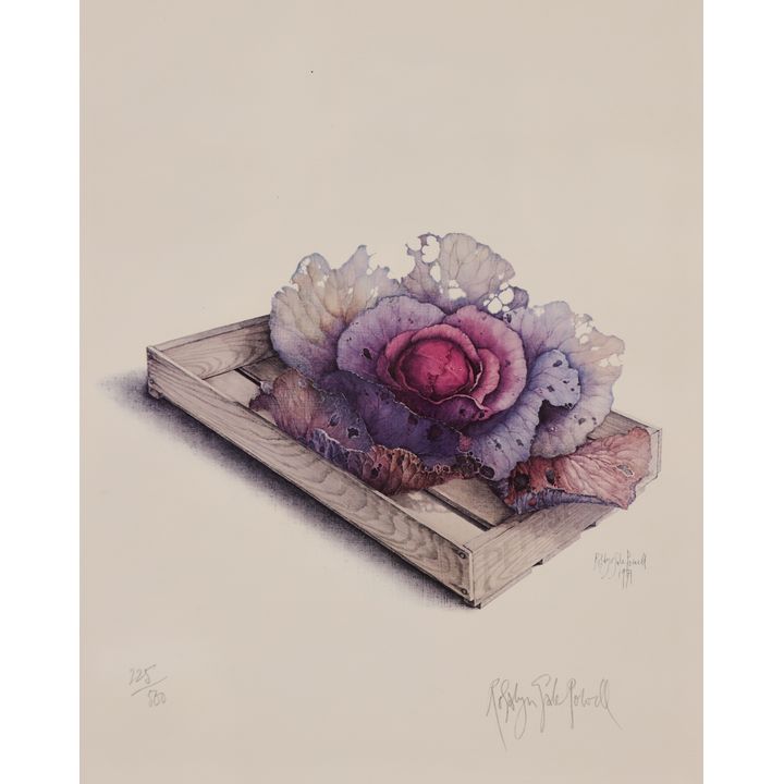 Rosalyn Gale Powell ''Cabbage'' 1971 S/N Print Framed 20''x17''