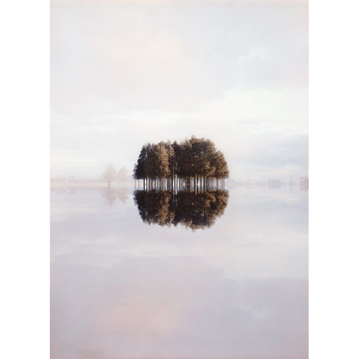 Kate van der Drift 'Awaiti, Waihou Valley'