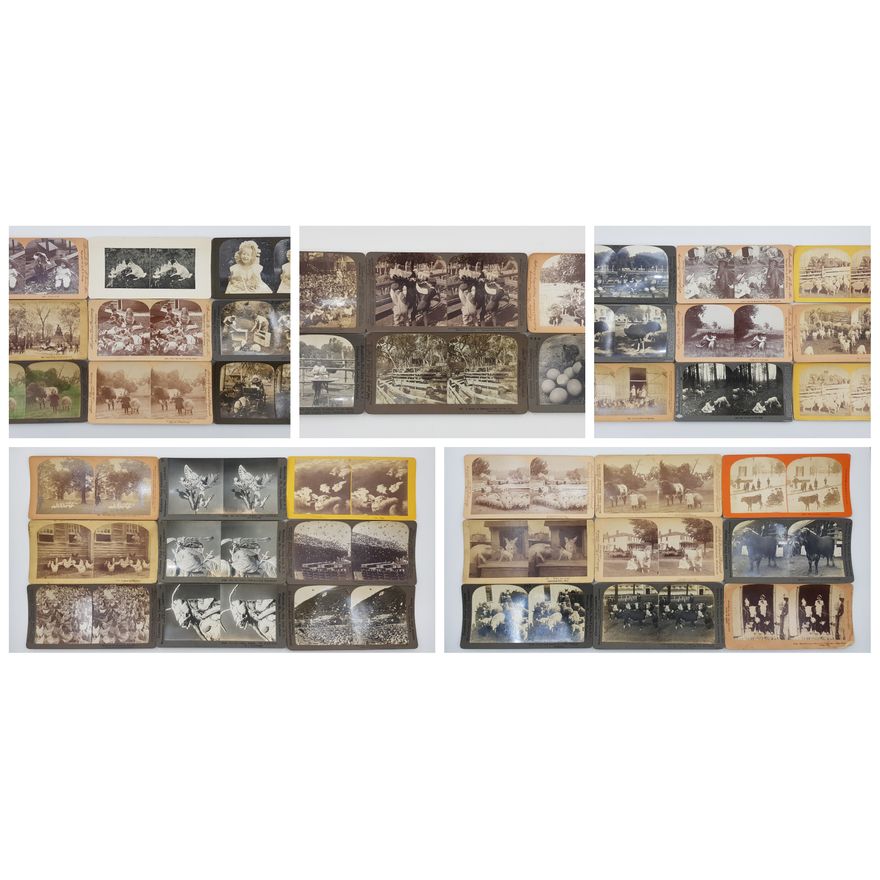 Stereograph Cards (x42)