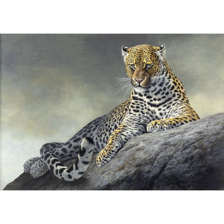 Jorge Mayol (1948- ), Powerful Presence - Leopard, 1997