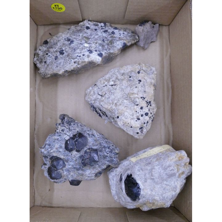 Box Small Garnets in Matrix Specimens