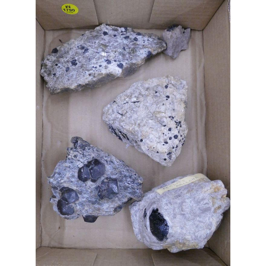 Box Small Garnets in Matrix Specimens