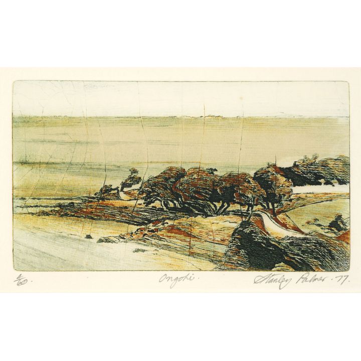 Stanley Palmer 'Ongohi'