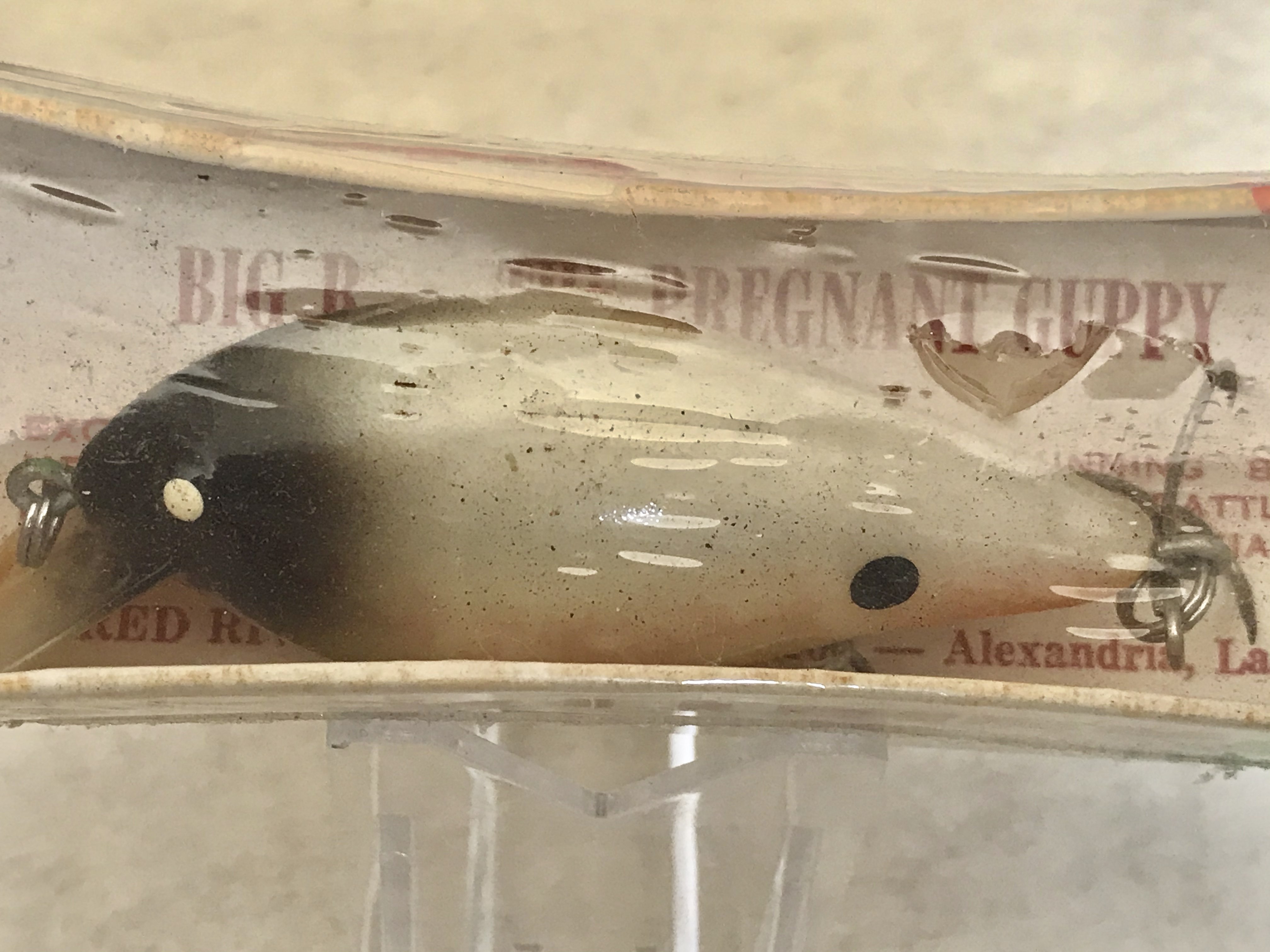 Red River Lures,”Big-R Pregnant Guppy“NIB papers