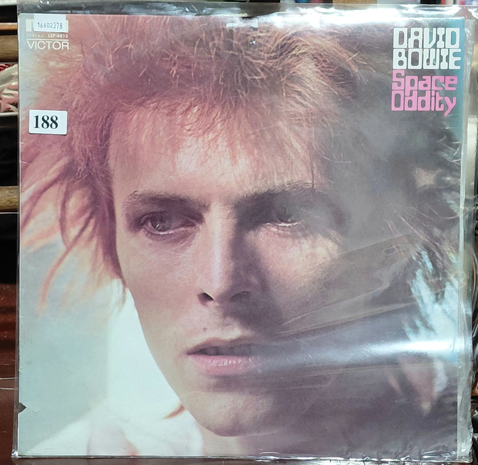 David Bowie