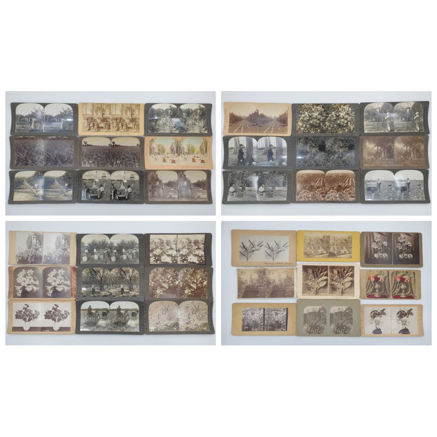 Stereograph Cards (x36)