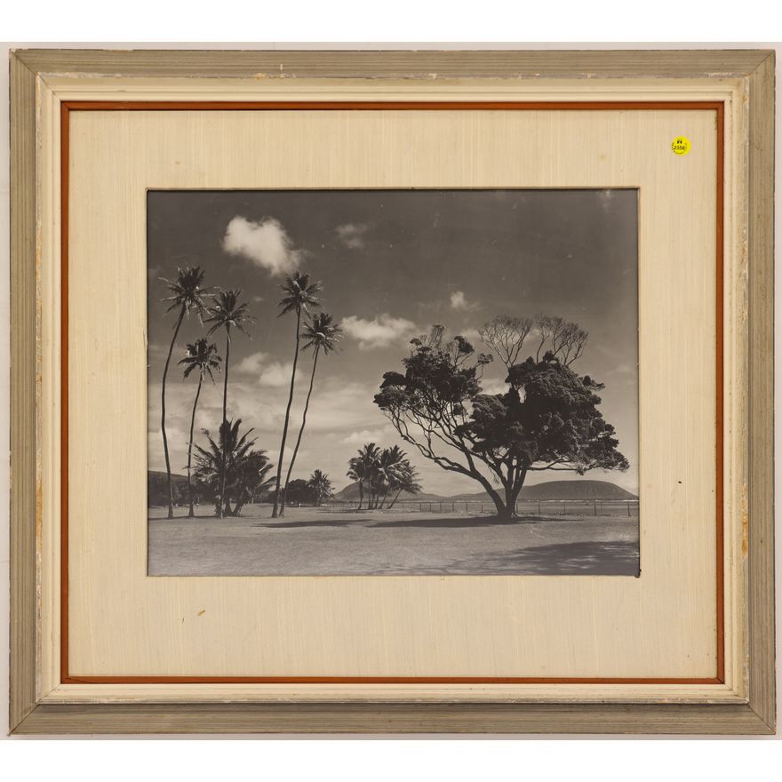 Vintage Hawaiian Silver Photograph Framed 26.5''x29.5''